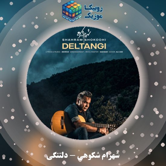 دانلود آهنگ شهرام شکوهی دلتنگی 1 دانلود آهنگ دلتنگی شهرام شکوهی